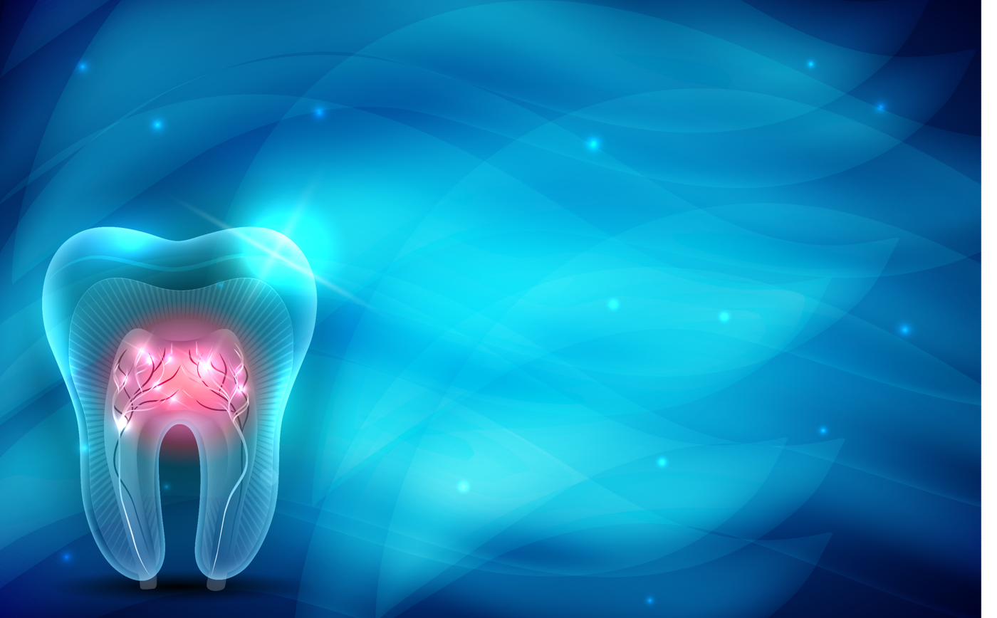 A digital 3D model of a tooth