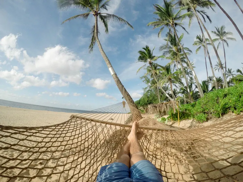 Person relaxing in a hammock between palm trees near the beach